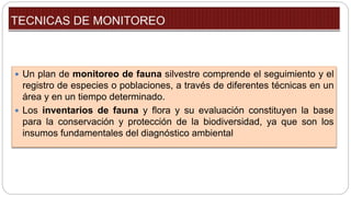  Un plan de monitoreo de fauna silvestre comprende el seguimiento y el
registro de especies o poblaciones, a través de diferentes técnicas en un
área y en un tiempo determinado.
 Los inventarios de fauna y flora y su evaluación constituyen la base
para la conservación y protección de la biodiversidad, ya que son los
insumos fundamentales del diagnóstico ambiental
 