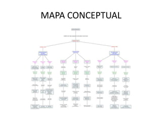 MAPA CONCEPTUAL
 