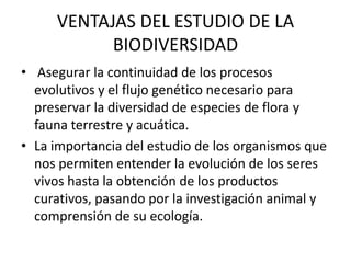 VENTAJAS DEL ESTUDIO DE LA
           BIODIVERSIDAD
• Asegurar la continuidad de los procesos
  evolutivos y el flujo genético necesario para
  preservar la diversidad de especies de flora y
  fauna terrestre y acuática.
• La importancia del estudio de los organismos que
  nos permiten entender la evolución de los seres
  vivos hasta la obtención de los productos
  curativos, pasando por la investigación animal y
  comprensión de su ecología.
 
