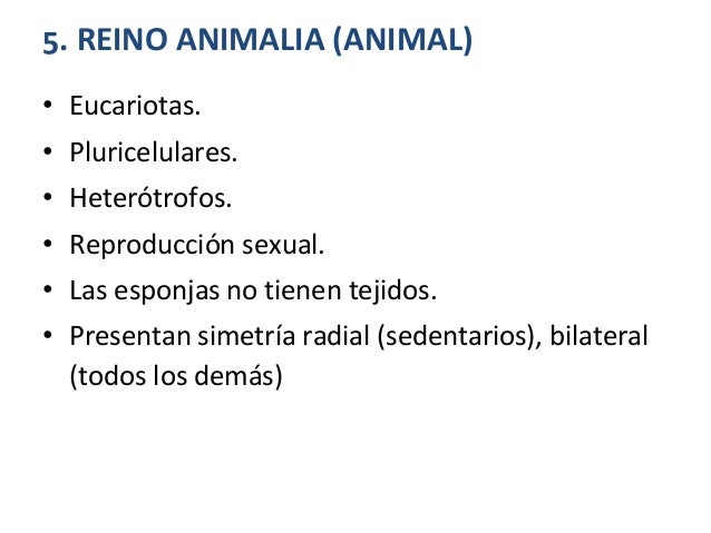 Vermoks como funciona en las lombrices y como salen