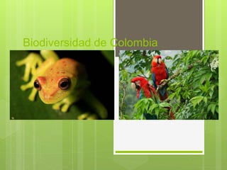 Biodiversidad de Colombia
 