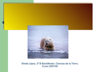 Sheila López. 2º B Bachillerato. Ciencias de la Tierra. Curso 2007/08 