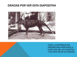 GRACIAS POR VER ESTA DIAPOSITIVA
TODA LA INFORMACIÓN
PRESENTADA PERTENCE A
CADA UNA DE LAS FUENTES
Y NO SON DE MI AUTORIDAD
 