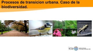 Procesos de transicion urbana. Caso de la
biodiversidad.
cas
 