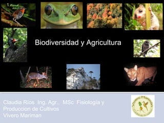 Claudia Ríos Ing. Agr., MSc Fisiología y
Produccion de Cultivos
Vivero Mariman
Biodiversidad y Agricultura
 