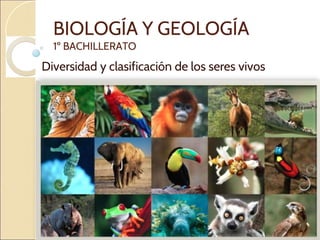 BIOLOGÍA Y GEOLOGÍA
1º BACHILLERATO
Diversidad y clasificación de los seres vivos
 