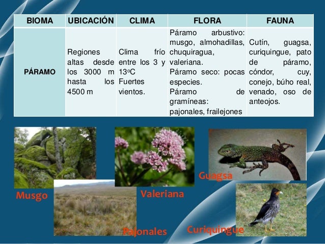 Biodiversidad y conservacion
