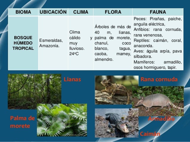 Biodiversidad y conservacion
