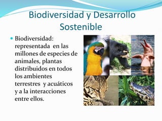 Biodiversidad y Desarrollo
Sostenible
 Biodiversidad:
representada en las
millones de especies de
animales, plantas
distribuidos en todos
los ambientes
terrestres y acuáticos
y a la interacciones
entre ellos.
 