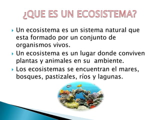  Un ecosistema es un sistema natural que
esta formado por un conjunto de
organismos vivos.
Un ecosistema es un lugar donde conviven
plantas y animales en su ambiente.
Los ecosistemas se encuentran el mares,
bosques, pastizales, ríos y lagunas.