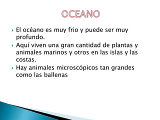  El océano es muy frio y puede ser muy
profundo.
Aquí viven una gran cantidad de plantas y
animales marinos y otros en las islas y las
costas.
Hay animales microscópicos tan grandes
como las ballenas