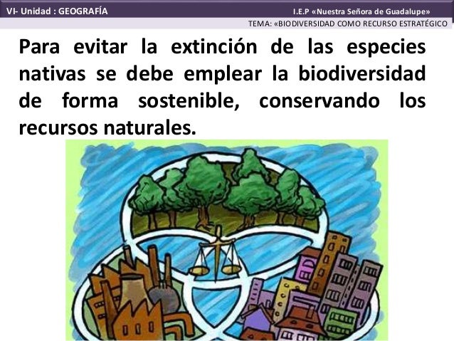 Biodiversidad y manejo de recursos
