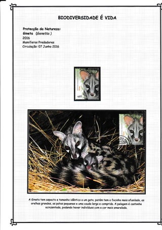 - ^e*'à 6=
BTODIVERSIDÁDE E VIDÁ
Protecção do Noturezo:
âineto (êenetta )
20t6
ÂÂamíferos Predodores
Circuloção: 07 Junho ...