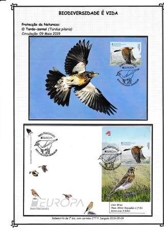 ^q-ã Êl
,
BIODTVERSIDADE E VTDÁ
Protecçõo do Noturezo:
O Tordo-zornol (Turdus pilaris)
Circuloção: 09 Moio ?OLg
,*,// cll
,ffi:%
4ili.,,
u'%- 'eà-ã
r'{i,-a'5 i'lêii"0IJii
Sobescrito de 1o dio, com corimbo Cm P. Delqado 2A19-0549
'.lJ AJ
 
