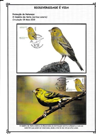 q
Protecçõo do Noturezo:
O Coúrio-do-tema (serinus canaría)
Circulaçôo: 09 Moio 2Ot9
O Conrírio-da-temo endémico do /lÂocaronésio de disfribuição restrito no Modeiro. é umo ove
sedentório gue podem ser observodos, desde o nível do mor oté oos oltos cumes.
uor9 q-r
 
