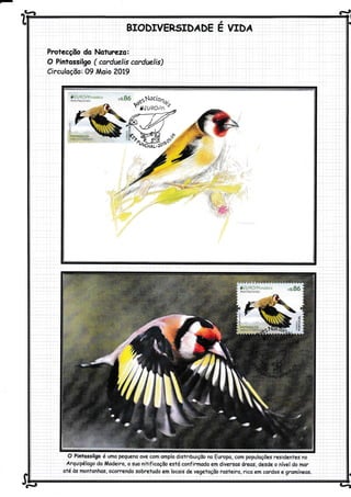 ^e*ã
Protecçõo da Naturezo:
O Píntossilgo ( carduelis carduelis)
Circuloção: 09 ÂÂoio 2Ol9
s
vf9
-l
tf
 