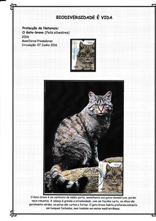 ^e-à
.,
BTODIVER5IDÁDE E VIDÁ
Protecçõo do Naturezo:
O 6oto-brovo (Feli,'s silvestr*)
?ot6
Mqmíferos Predodores
Circulqçãoi 07Junhq 20t6 .
O Gato-bravo é um carnívoro de médío porte, semelhonte oos gatos-domésticos, porém
mois robustos. A cobeça é grande e orredondodo, com um focínho curto, os olhos sõo
geralme.nte verdes, os potos sõo curtos e f ortes. O goto-brovo hobito preíerexciolmente
em bosgues fechodos, mos tombém em motos mediterrâneos.
d
vfrl !-r
 