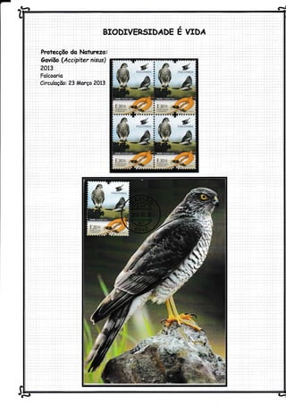 - ^c-à d
.:
BIODIVERsIDÁDE
E:o:r. *fr, -r;! E:os
lSfll :'' -"r"&,'. . tli^li,:n'
,....d. ú._...a..1...aaa
u;r9 a1
 