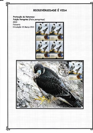 â!aà 6-l
::
'::.
PrrieesõôrdqNstureiôt' 'r,.'." ,
::
Falçãô -P6rygríno (FútCo ;regiinufl
a
E WDA
2A,3
Falcoorio
Circuloção: 23 Morço 2013
'i^ * I 'r
h],..i'9,','Ê ffi.o.....jIí.......3
N?g^*,
qffi #,,qficoRtlllos u. i"ffi : CORRIÍos
ufs
-
 