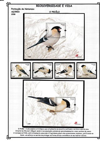 À!- d
BIODTVER5IDÁDE YIDA
Protecçõo do Nohrrezo:
ÁÇoREs
2008
^o PHroLo
-fe" ctt corrêiôs
li: '-l '
{o
q
Í
e0,61 N
Portugal
iá&^
J à,1I
eO,30 .nobryúútohutina
a
i.::: '::!::'::... .... . ..'3ro.1 :
2'
c2,45
O Priôfo - é umo *pécie ornitológico que octuolmente se encontra confinodq q um único vole dq zono
Orientol da Ilho de 5. túiguel, sendo o suo populoção ovoliodo em oproximodomente o meiq centena de cosois.
A roridade do Priôlo, está intimomente ossociodo à frogilido,Je próprio dos ecossistemas insulores, justificondo-se
Ássim um esforço no sentido deproteger de formo eÍicaz o existêncio do seu hobitat naturol.
4
Portugal
,@
el,oo
U,
 