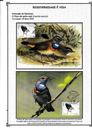 ^!â d
BIODTVERSTDÁDE E'VIDA
Protecção do Noturezo:
O Pisco-de- peito-ozul (Luscinia svecica)
Circuloçõo: 09 Moio 2Ot9
O Pisco-de-peito-ozul é um migrador de possogem e um invernonte comum no território continentol
Português, emboro de formo mois locolizodo nos zonos húmidas litorais como os estuários do Tejo e do
Sodo e no Rio Formoso, onde se olimento de peguenos invertebrodos.
aq
 