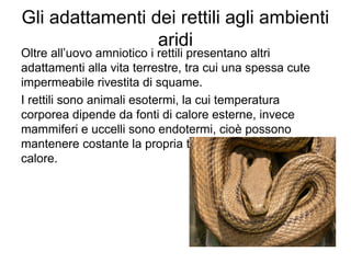 Gli adattamenti dei rettili agli ambienti
aridi
Oltre all’uovo amniotico i rettili presentano altri
adattamenti alla vita terrestre, tra cui una spessa cute
impermeabile rivestita di squame.
I rettili sono animali esotermi, la cui temperatura
corporea dipende da fonti di calore esterne, invece
mammiferi e uccelli sono endotermi, cioè possono
mantenere costante la propria temperatura producendo
calore.
 