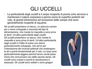 • La particolarità degli uccelli è il corpo ricoperto di piume (che servono a
mantenere il calore corporeo) e penne (sono le superfici portanti nel
volo, di grandi dimensioni) ad eccezione delle zampe che sono
generalmente ricoperte di squame.
GLI UCCELLI
Gli uccelli presentano un becco, un astuccio corneo
più o meno sviluppato a seconda del tipo di
alimentazione, che riveste le mascelle e sono prive
di denti. Un’altra particolarità degli uccelli.
Gli uccelli presentano un becco, che riveste le
mascelle e sono prive di denti. Un’altra particolarità
degli uccelli è il fatto di avere uno sterno
particolarmente sviluppato, che serve per
l’intersezione dei muscoli pettorali che sostengono
le ali e quindi fondamentali per il volo. Le ossa sono
particolarmente leggere perché hanno cavità piene
d’aria che comunicano con delle sacche aeree. Gli
uccelli sono ovipari e quindi la riproduzione è
sessuata. Gli uccelli sono solitari o sono gregari.
 