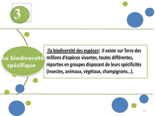 12
La biodiversité
spécifique
3
 