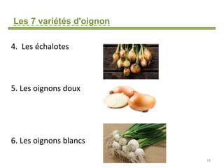Les 7 variétés d'oignon
4. Les échalotes
5. Les oignons doux
6. Les oignons blancs
18
 