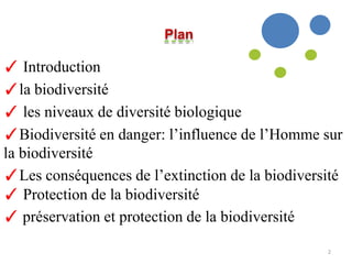 2
✓ Introduction
✓la biodiversité
✓ les niveaux de diversité biologique
✓Biodiversité en danger: l’influence de l’Homme sur
la biodiversité
✓Les conséquences de l’extinction de la biodiversité
✓ Protection de la biodiversité
✓ préservation et protection de la biodiversité
Plan
 