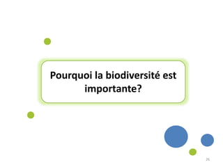 Pourquoi la biodiversité est
importante?
26
 