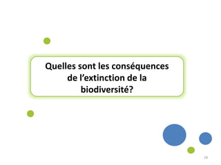 Quelles sont les conséquences
de l’extinction de la
biodiversité?
28
 