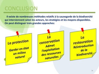 CONCLUSION
38
Il existe de nombreuses méthodes relatifs à la sauvegarde de la biodiversité
qui interviennent selon les acteurs, les stratégies et les moyens disponibles.
On peut distinguer trois grandes approches:
 