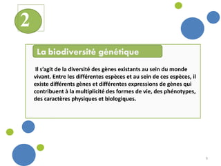9
Il s’agit de la diversité des gènes existants au sein du monde
vivant. Entre les différentes espèces et au sein de ces espèces, il
existe différents gènes et différentes expressions de gènes qui
contribuent à la multiplicité des formes de vie, des phénotypes,
des caractères physiques et biologiques.
La biodiversité génétique
2
 