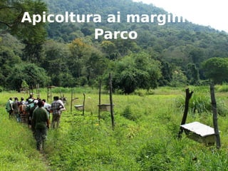 Apicoltura ai margini del 
Parco 
 