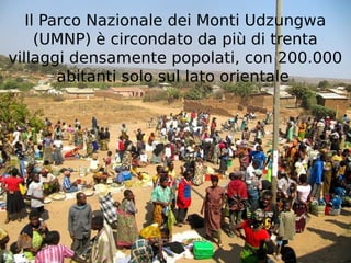 Il Parco Nazionale dei Monti Udzungwa 
(UMNP) è circondato da più di trenta 
villaggi densamente popolati, con 200.000 
abitanti solo sul lato orientale 
 