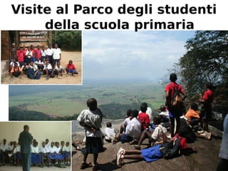 Visite al Parco degli studenti 
della scuola primaria 
 
