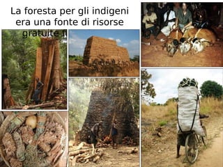 La foresta per gli indigeni 
era una fonte di risorse 
gratuite fino al 2011 
 
