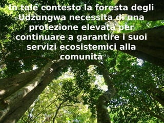 In tale contesto la foresta degli 
Udzungwa necessita di una 
protezione elevata per 
continuare a garantire i suoi 
servizi ecosistemici alla 
comunità 
 
