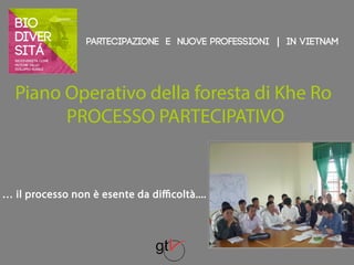 Partecipazione e nuove professioni | IN VIETNAM 
Piano Operativo della foresta di Khe Ro 
PROCESSO PARTECIPATIVO 
… il processo non è esente da difficoltà.... 
 
