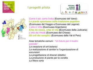 I progetti pilota 
Come il sol, come l’erba (Ecomuseo del Vanoi) 
Le piante spontanee nella tradizione popolare 
(Ecomuseo del Viaggio e Ecomuseo del Lagorai) 
L’orto in Villa (Ecomuseo Argentario) 
Erbe da vivere, erbe di vita (Ecomuseo della Judicaria) 
L’orto dei rimedi (Ecomuseo del Chiese) 
Gli orti dei semplici (Ecomuseo della Val di Peio) 
Aree tematiche comuni : “Un futuro per il nostro 
passato” 
La creazione di orti botanici 
La realizzazione di sentieri e l’organizzazione di 
escursioni 
La progettazione di itinerari didattici 
La produzione di piante per la vendita 
La filiera corta 
 
