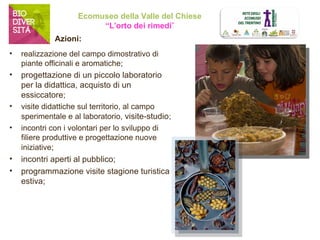 Ecomuseo della Valle del Chiese 
“L’orto dei rimedi” 
• realizzazione del campo dimostrativo di 
piante officinali e aromatiche; 
• progettazione di un piccolo laboratorio 
per la didattica, acquisto di un 
essiccatore; 
• visite didattiche sul territorio, al campo 
sperimentale e al laboratorio, visite-studio; 
• incontri con i volontari per lo sviluppo di 
filiere produttive e progettazione nuove 
iniziative; 
• incontri aperti al pubblico; 
• programmazione visite stagione turistica 
estiva; 
Azioni: 
 