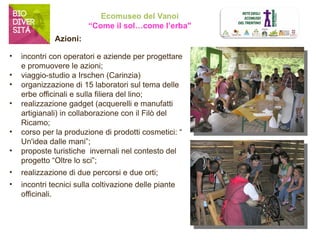 Ecomuseo del Vanoi 
“Come il sol…come l’erba" 
• incontri con operatori e aziende per progettare 
e promuovere le azioni; 
• viaggio-studio a Irschen (Carinzia) 
• organizzazione di 15 laboratori sul tema delle 
erbe officinali e sulla filiera del lino; 
• realizzazione gadget (acquerelli e manufatti 
artigianali) in collaborazione con il Filò del 
Ricamo; 
• corso per la produzione di prodotti cosmetici: “ 
Un'idea dalle mani”; 
• proposte turistiche invernali nel contesto del 
progetto “Oltre lo sci”; 
• realizzazione di due percorsi e due orti; 
• incontri tecnici sulla coltivazione delle piante 
officinali. 
Azioni: 
 