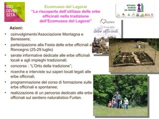 Ecomuseo del Lagorai 
“La riscoperta dell’utilizzo delle erbe 
officinali nella tradizione 
dell’Ecomuseo del Lagorai” 
Azioni: 
• coinvolgimento’Associazione Montagna e 
Benessere; 
• partecipazione alla Festa delle erbe officinali a 
Roncegno (25-29 luglio) 
• serate informative dedicate alle erbe officinali 
locali e agli impieghi tradizionali; 
• concorso : “L’Orto della tradizione”; 
• ricerche e interviste sui saperi locali legati alle 
erbe officinali; 
• programmazione del corso di formazione sulle 
erbe officinali e spontanee; 
• realizzazione di un percorso dedicato alle erbe 
officinali sul sentiero naturalistico Furlan. 
 