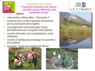 Ecomuseo del Tesino 
“Il giardino botanico del Tesino: 
usi delle piante officinali nella 
tradizione locale” 
Azioni: 
• visita-studio a Maso Albio – Roncegno T. 
• incontro/visita a tutte le aziende del territorio 
per la promozione del progetto; 
• coinvolgimento Università della Tuscia, 
prof.Salomone per il progetto Orto botanico 
• incontri informativi con la popolazione, visite 
didattiche; 
• incontri di facilitazione al dialogo tra aziende e 
enti pubblici; 
• proposta: “tavolo dei prodotti del Tesino”; 
 
