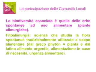 La partecipazione delle Comunità Locali 
La biodiversità associata è quella delle erbe 
spontanee ad uso alimentare (piante 
alimurgiche). 
Fitoalimurgia: scienza che studia la flora 
spontanea tradizionalmente utilizzata a scopo 
alimentare (dal greco phytón = pianta e dal 
latino alimenta urgentia, alimentazione in caso 
di necessità, urgenza alimentare). 
 