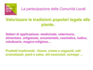 La partecipazione delle Comunità Locali 
Valorizzare le tradizioni popolari legate alle 
piante. 
Settori di applicazione: medicinale, veterinario, 
alimentare, artigianale, ornamentale, cosmetico, ludico, 
voluttuario, magico-religioso… 
Prodotti trasformati : tisane, creme e unguenti, sali 
aromatizzati, pesti e salse, olii essenziali, sciroppi … 
 