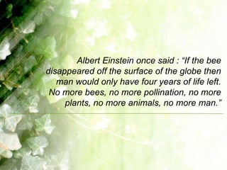 Albert Einstein once said : “If the bee
disappeared off the surface of the globe then
   man would only have four years of life left.
 No more bees, no more pollination, no more
     plants, no more animals, no more man.”
 