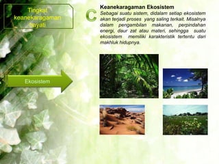 Keanekaragaman Ekosistem
    Tingkat      Sebagai suatu sistem, didalam setiap ekosistem
keanekaragaman   akan terjadi proses yang saling terkait. Misalnya
     hayati      dalam pengambilan makanan, perpindahan
                 energi, daur zat atau materi, sehingga suatu
                 ekosistem memiliki karakteristik tertentu dari
                 makhluk hidupnya.




   Ekosistem
 