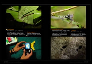 Tambuohan Insect Biodiversitas indonesia-edisi-2-2-2012-ekspedisi-low | PDF
